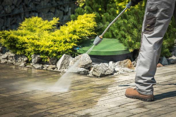 Best Dumpster Area Cleaning  in Webster City, IA