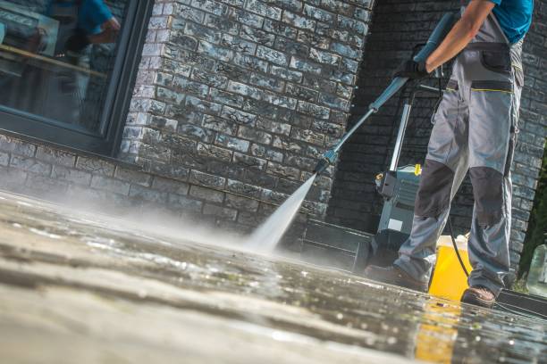Best Pre-Holiday Cleaning  in Webster City, IA