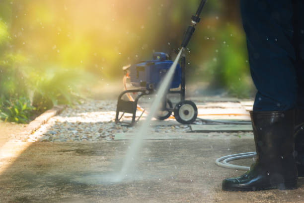 Best Warehouse Cleaning  in Webster City, IA